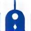Icon of a secure access key